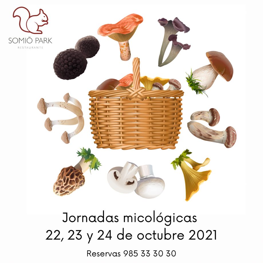 Jornadas Micológicas en Somió Park (octubre 2021)